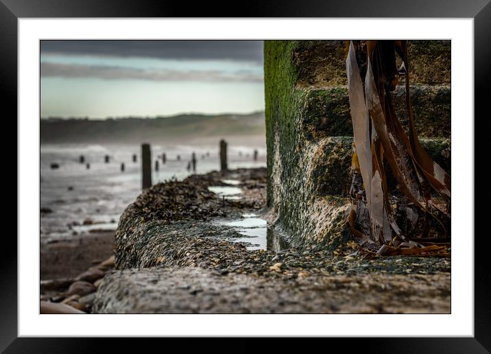 Slippery When Wet Framed Mounted Print by Darren Ball