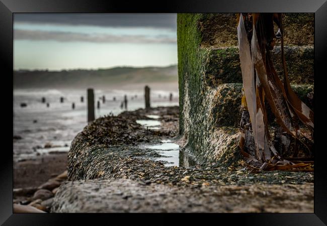 Slippery When Wet Framed Print by Darren Ball