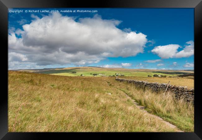 Forest in Teesdale from the Pennine Way Framed Print by Richard Laidler