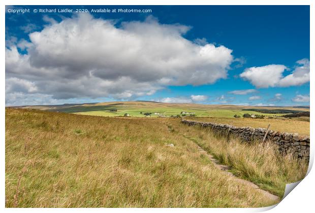Forest in Teesdale from the Pennine Way Print by Richard Laidler