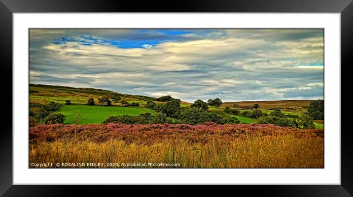 ""North York Moors " Framed Mounted Print by ROS RIDLEY