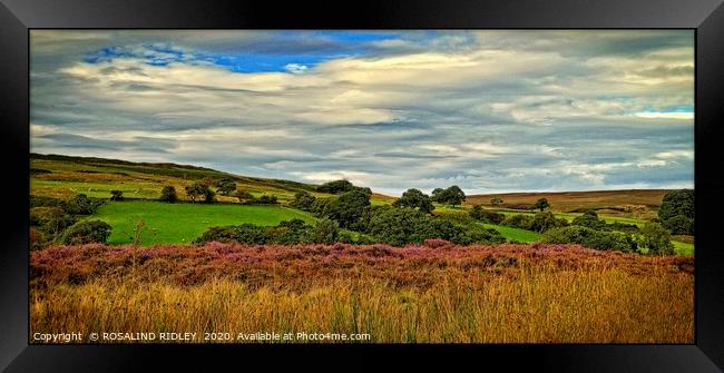 ""North York Moors " Framed Print by ROS RIDLEY