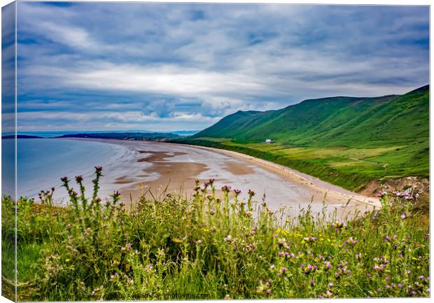A view over Rhossili Bay from the cliff tops Canvas Print by Chris Yaxley