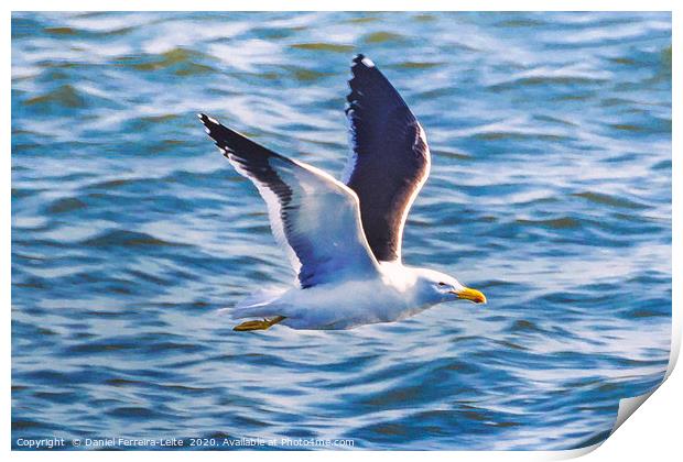 Seagull Flying Over River, Montevideo, Uruguay Print by Daniel Ferreira-Leite