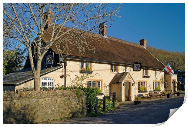 The Ilchester Arms, Symondsbury                    Print by Darren Galpin