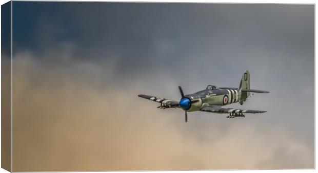 Sea Fury Warplane  Canvas Print by Pete Evans