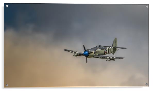 Sea Fury Warplane  Acrylic by Pete Evans