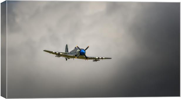 The Hawker Sea Fury Canvas Print by Pete Evans