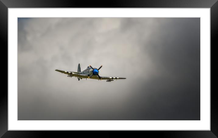 The Hawker Sea Fury Framed Mounted Print by Pete Evans