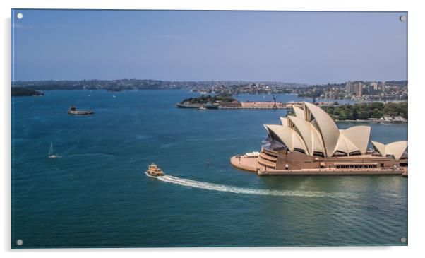 Sydney Harbour Acrylic by Pete Evans