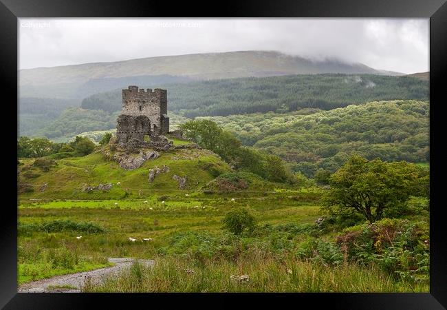 dolwyddelan  castle in Snowdonia,  wales  Framed Print by Pere Sanz