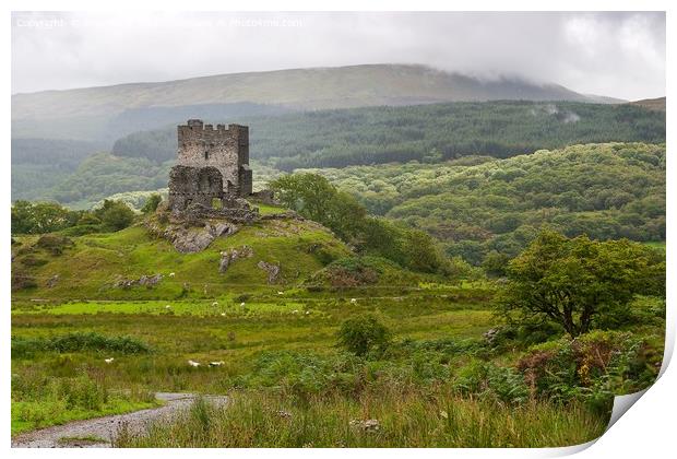 dolwyddelan  castle in Snowdonia,  wales  Print by Pere Sanz