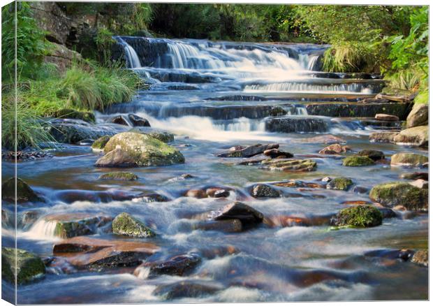 Bronte Waterfall Canvas Print by David McCulloch