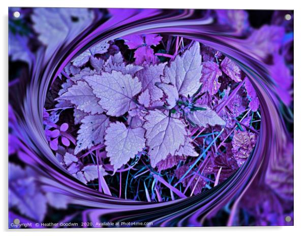 Undergrowth Acrylic by Heather Goodwin
