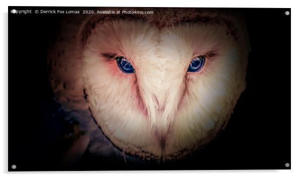 Barn Owl Acrylic by Derrick Fox Lomax