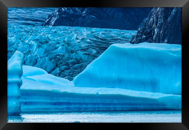 Blue Iceberg Grey Glacier Lake Torres del Paine Na Framed Print by William Perry