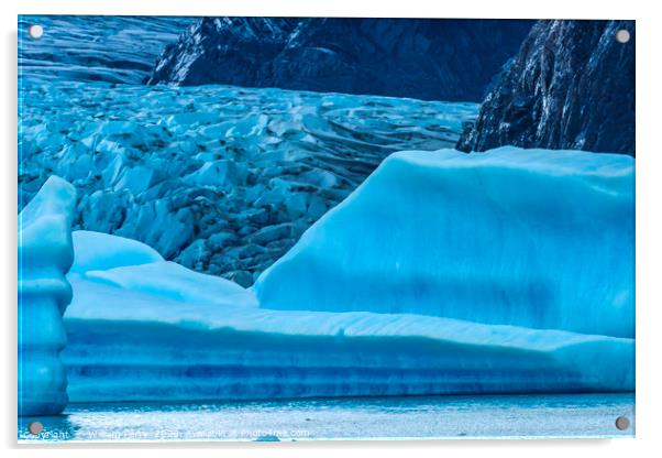 Blue Iceberg Grey Glacier Lake Torres del Paine Na Acrylic by William Perry