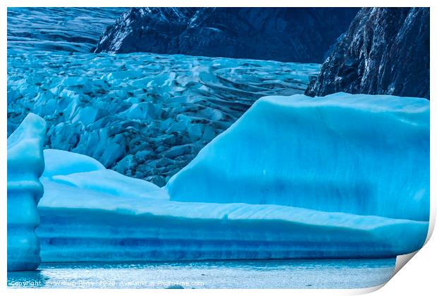 Blue Iceberg Grey Glacier Lake Torres del Paine Na Print by William Perry
