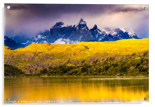 Grey Lake Paine Horns Torres del Paine National Pa Acrylic by William Perry