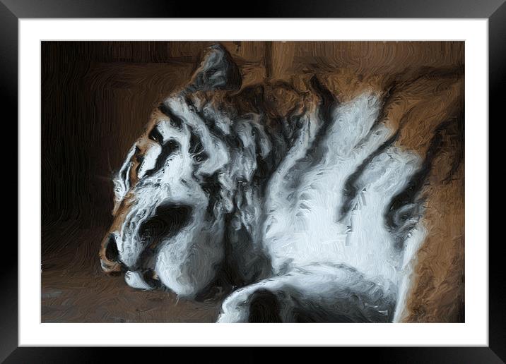 Painted sleeping tiger Framed Mounted Print by Doug McRae