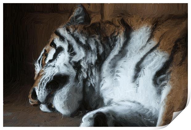 Painted sleeping tiger Print by Doug McRae
