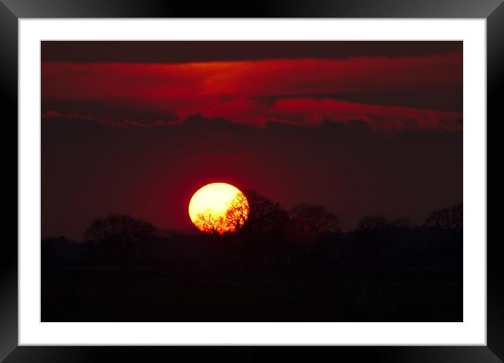 April Sunset Clouds and Trees Framed Mounted Print by Jeremy Hayden