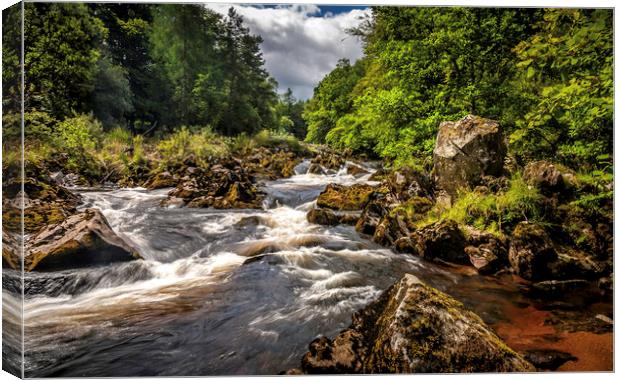 The river Feugh Banchory Canvas Print by Don Nealon