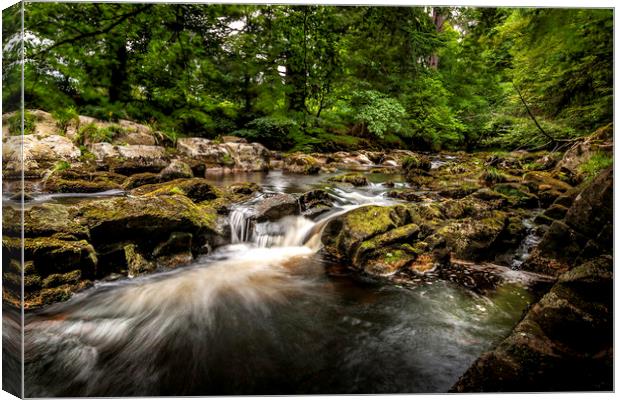 The river Feugh Banchory Canvas Print by Don Nealon