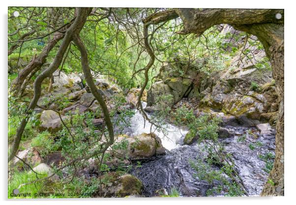 Ceunant Mawr, Llanberis water fall, North Wales Acrylic by Chris Yaxley