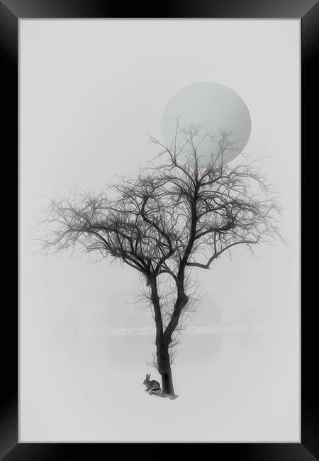 Solitude Framed Print by Tom York