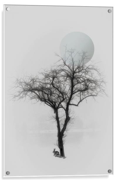 Solitude Acrylic by Tom York