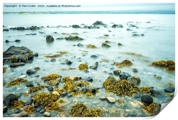 Rocks and Seaweed Uncovered at Lindisfarne. Print by Paul Cullen