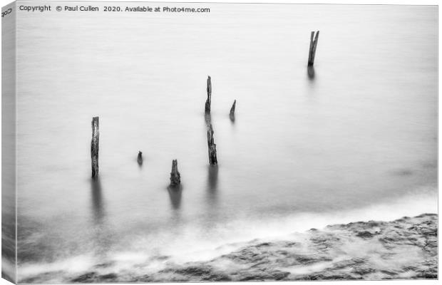 Old Posts in Abstract - Monochrome Canvas Print by Paul Cullen