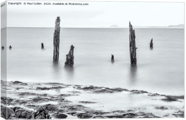 Old Posts with Bamburgh Castle in the distance - M Canvas Print by Paul Cullen