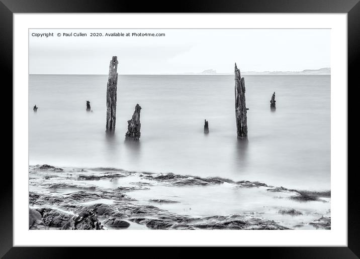 Old Posts with Bamburgh Castle in the distance - M Framed Mounted Print by Paul Cullen