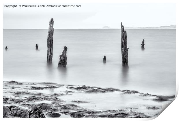 Old Posts with Bamburgh Castle in the distance - M Print by Paul Cullen