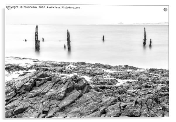 The Old Posts at Lindisfarne - Monochrome Acrylic by Paul Cullen
