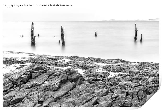 The Old Posts at Lindisfarne - Monochrome Print by Paul Cullen