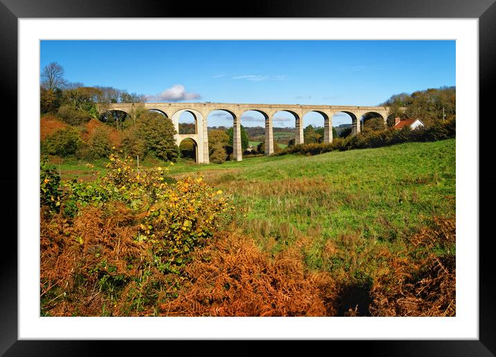 Cannington Viaduct, Uplyme                       Framed Mounted Print by Darren Galpin
