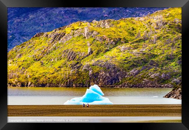 Blue Iceberg Grey Lake Torres del Paine National P Framed Print by William Perry