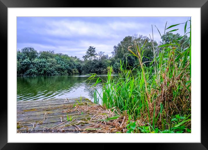 Wooden staging in South Walsham Dyke on the Norfol Framed Mounted Print by Chris Yaxley