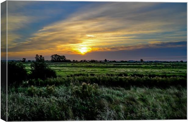 Sunrise over the grazing marshes in South Walsham, Canvas Print by Chris Yaxley