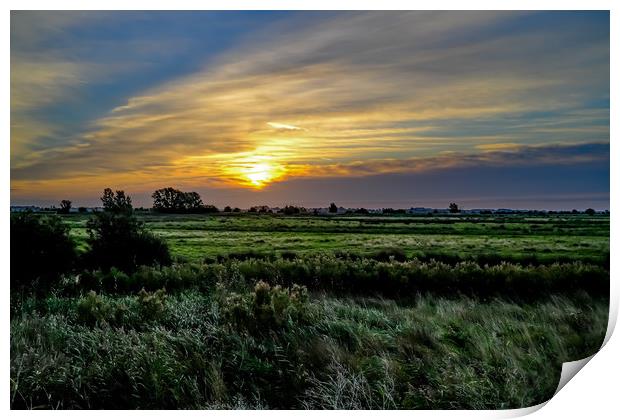 Sunrise over the grazing marshes in South Walsham, Print by Chris Yaxley