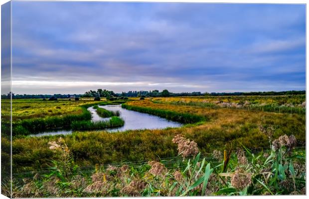 Flat marshes and grazing land, Norfolk Canvas Print by Chris Yaxley