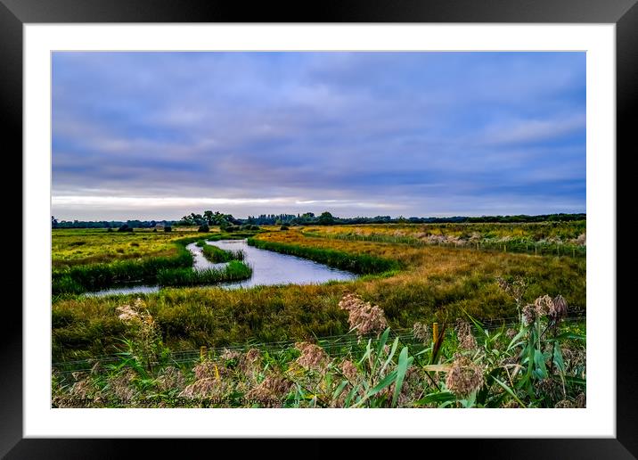 Flat marshes and grazing land, Norfolk Framed Mounted Print by Chris Yaxley