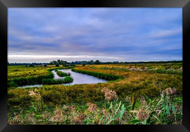 Flat marshes and grazing land, Norfolk Framed Print by Chris Yaxley