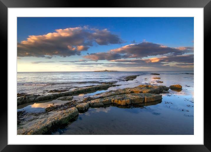 Coquet Island Amble Northumberland Coast  Framed Mounted Print by David Thompson