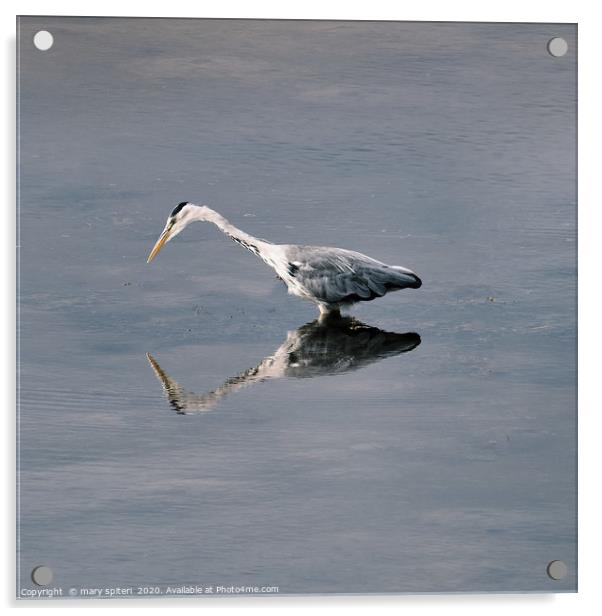 Heron Reflection. Acrylic by mary spiteri