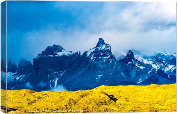 Paine Horns Torres del Paine National Park Chile Canvas Print by William Perry