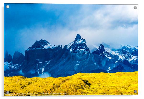 Paine Horns Torres del Paine National Park Chile Acrylic by William Perry